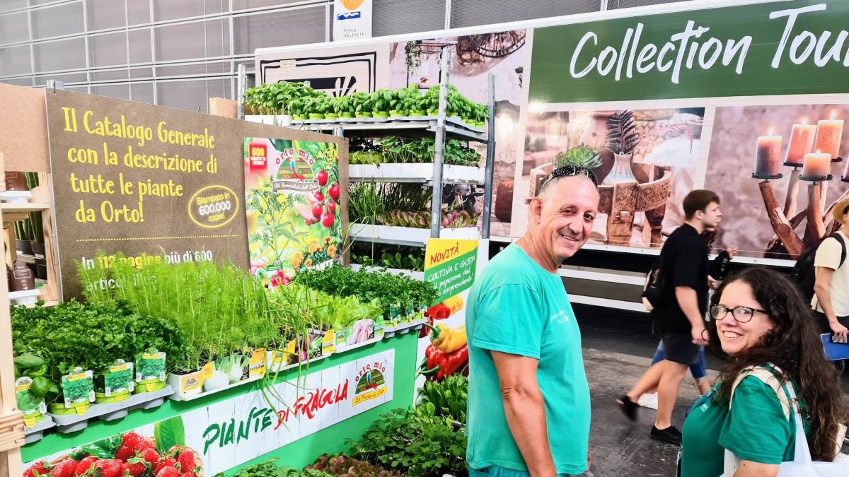 Qué son las etiquetas Green Store en las plantas en macetas