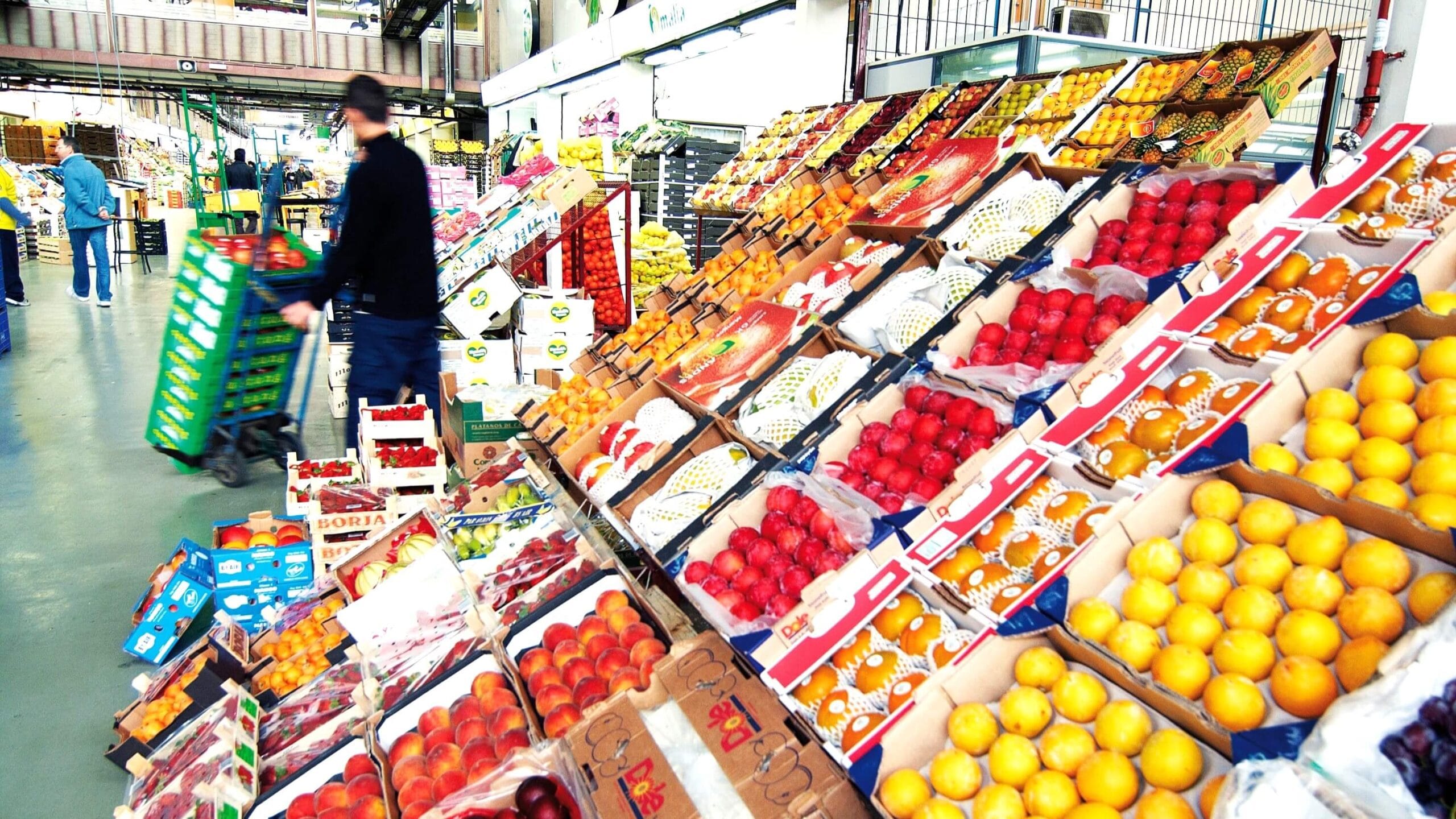 Mercabarna se presenta en las ferias hortofrutícolas junto con empresas de la AGEM y el Puerto de Barcelona
