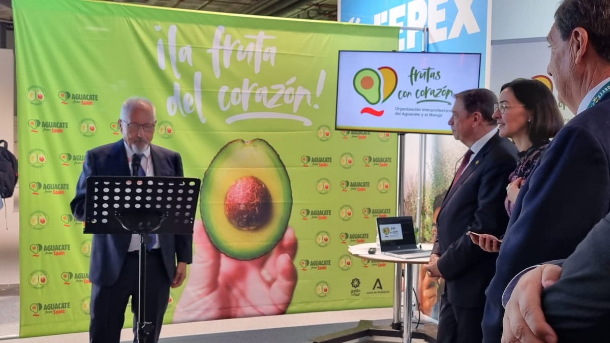 Presentación de la Organización Interprofesional del Aguacate y del Mango