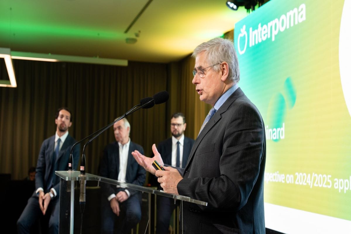 Los productores de manzanas buscan sistemas que les permitan aumentar el valor