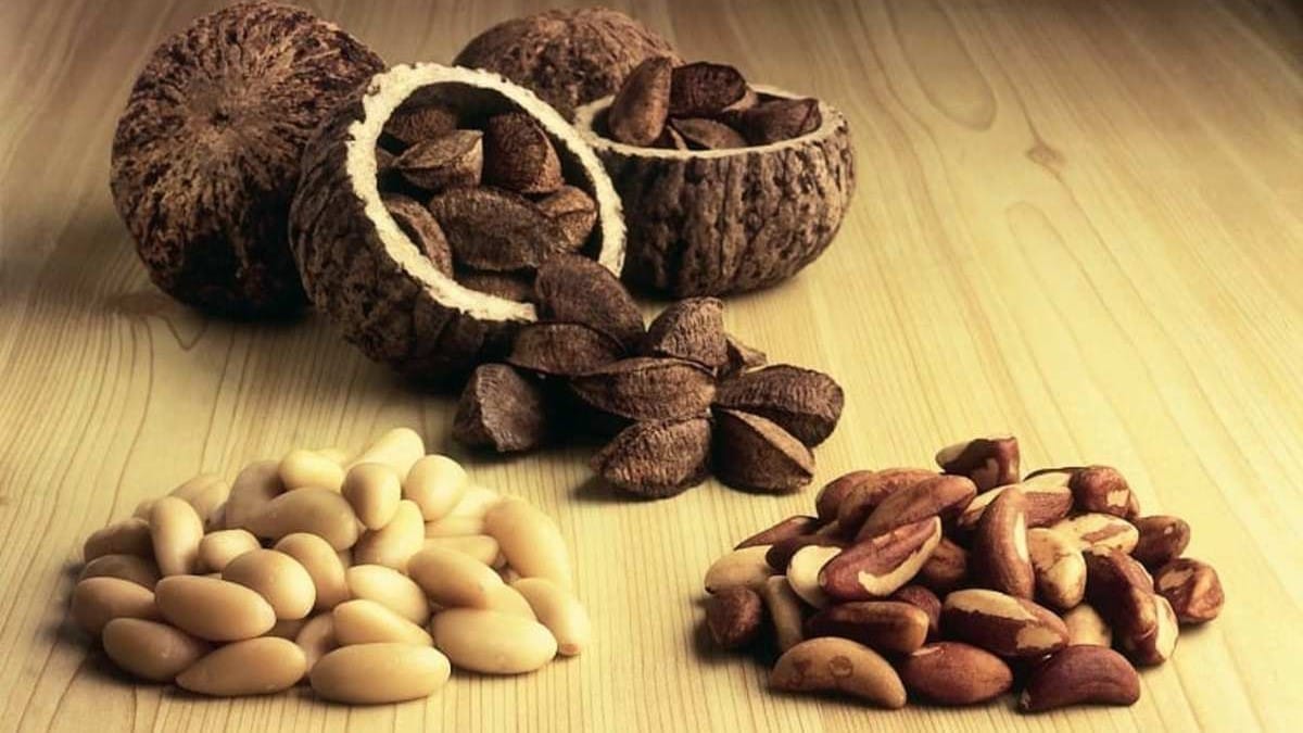 Nueces de Brasil para tener una mejor salud en dietas de bajas calorías
