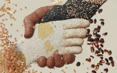 Menos de la mitad de los consumidores creen que los alimentos artesanos tienen las mismas garantias que los industriales