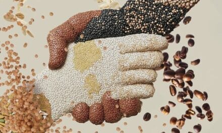 Menos de la mitad de los consumidores creen que los alimentos artesanos tienen las mismas garantias que los industriales