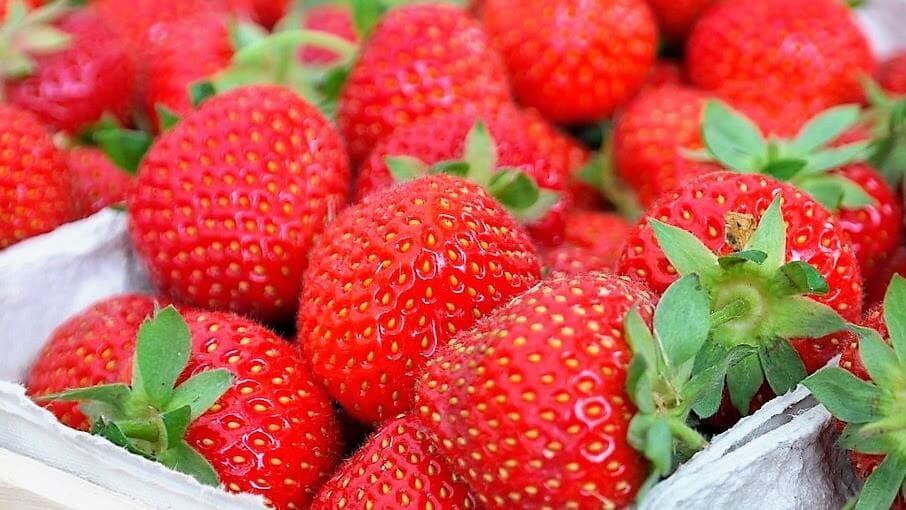 Este año las variedades de fresa más cultivadas en Huelva son Marisma y Red Sayra