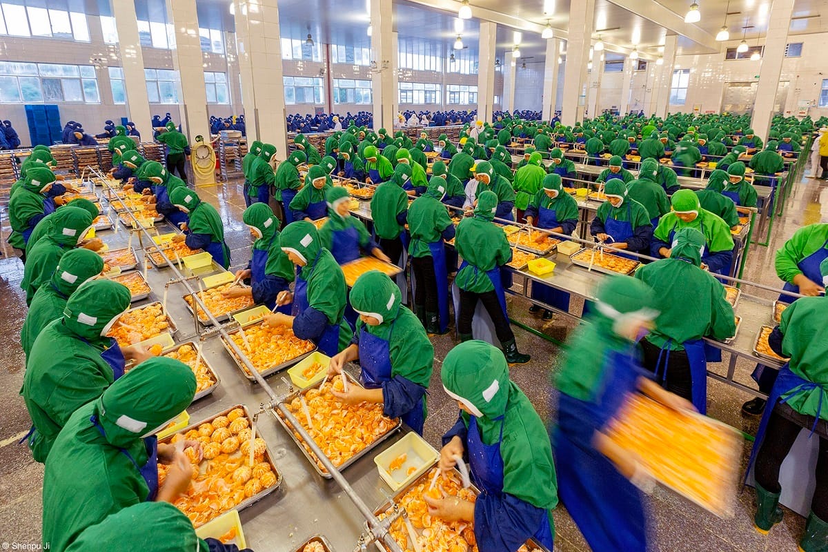 700 imágenes de 70 países compiten en el concurso de fotografía culinaria, patrocinado por Tenderstem® Bimi® Broccolini