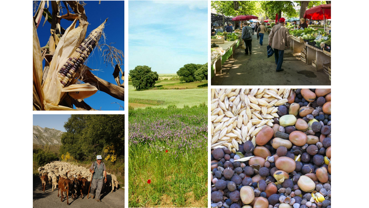 Alimentta promueve el conocimiento de productores del campo y de mar como base para la adaptación al cambio climático, la investigación científica y las políticas públicas