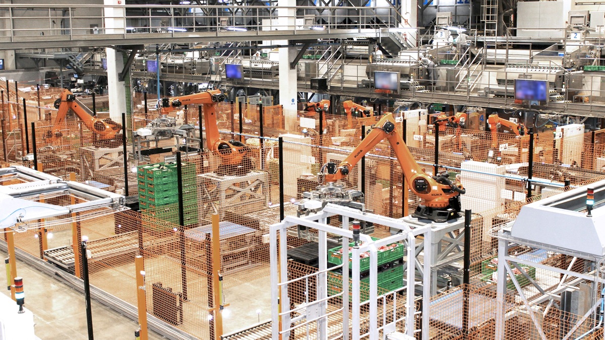 El Grupo Somos Hijolusa consolida su crecimiento con 35 millones de euros en inversiones y una facturación de 244 millones en 2024