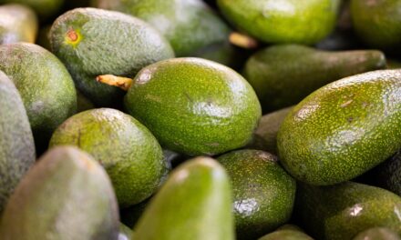 Cooperativa La Palma y Caja Rural Granada impulsan la tercera edición del Congreso Agricultura con Propósito de Tropicales