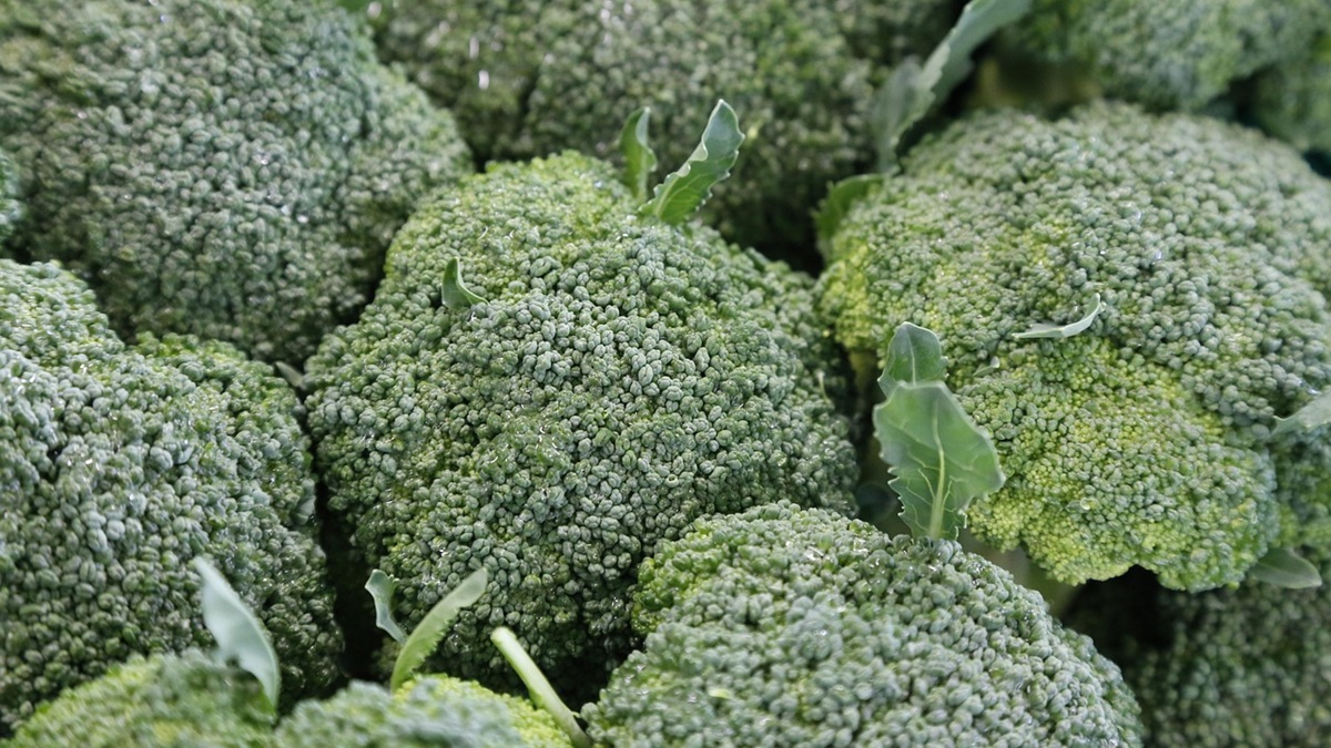 ‘Una Europa más Saludable’, el proyecto con el que +BRÓCOLI, Alcachofa de España y Fraises de France reivindican la fruta y verdura de proximidad en el corazón de las capitales europeas