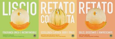Para esta IGP lo relevante de la calidad de sus melones está en el origen, en el hacer de los cultivadores y control de calidad de su identidad de marca de acompañamiento:  Melone Mantovano Las variedades que utilizan los productores son para 3 tipos de fruto redondo: escriturado (tipo Galia o muskmelon), asurcado (tipos charentais),  y los escriturados 