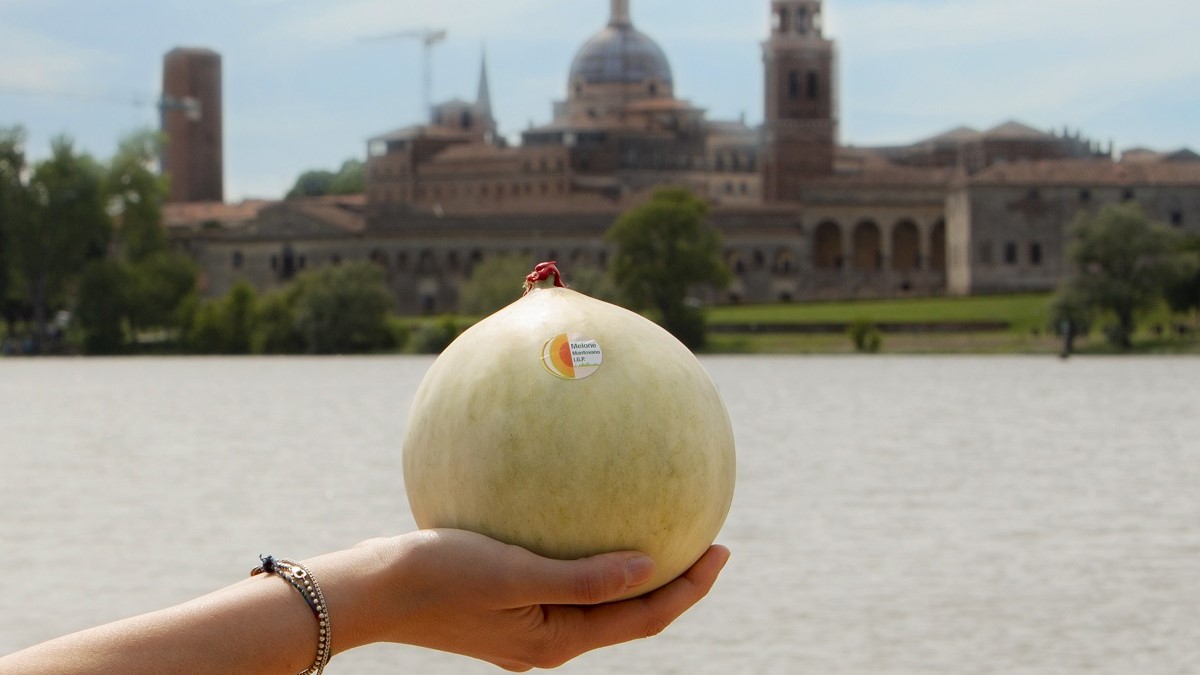 Primer Simposio del Melón Mantovano IGP: un recorrido entre tradición y futuro de la cadena de producción