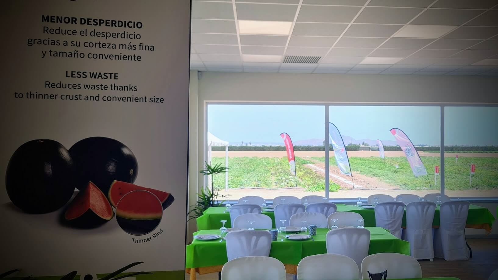 La gestión de apoyo a frutas y hortalizas no comercializadas