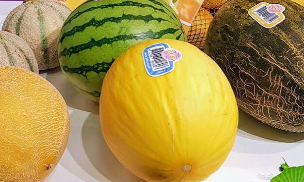 Los melones y sandías cada año son mejores
