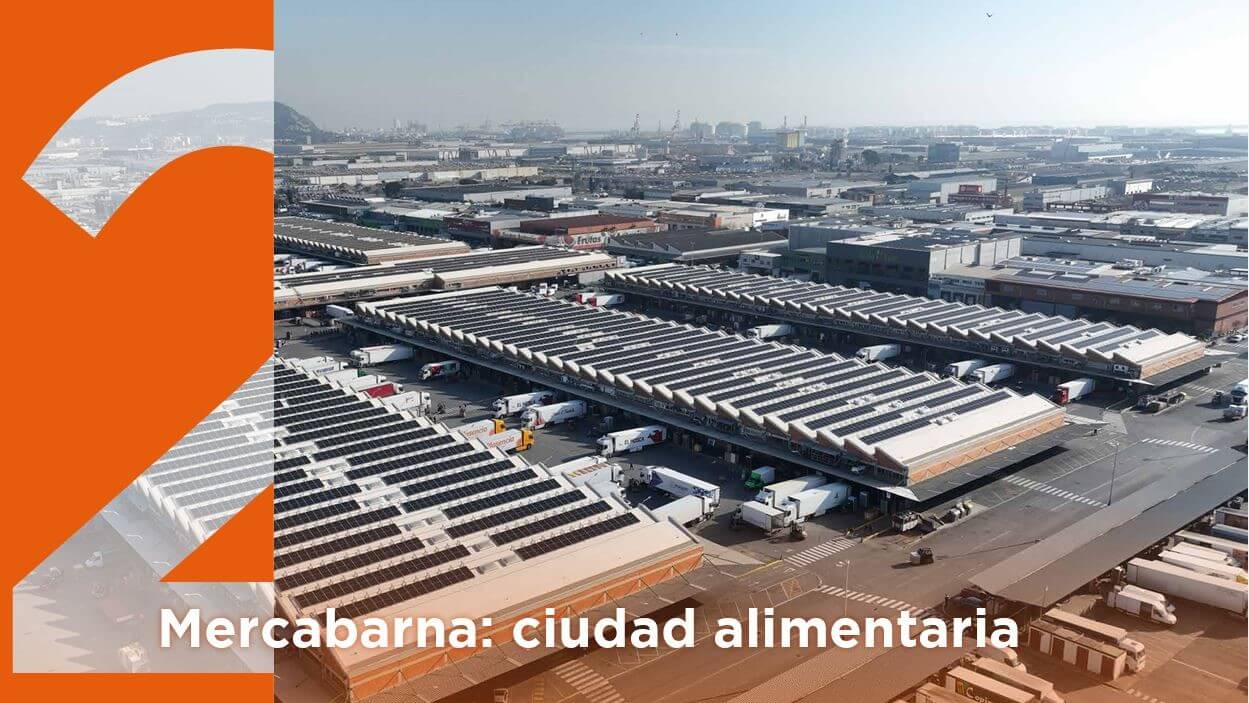 La Mercabarna de hoy