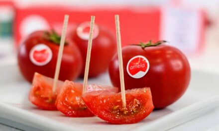 Datos de la Agroalimentación en España: la industria hortícola