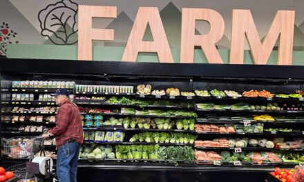 ¿Cómo deben ser los alimentos para la próxima década?