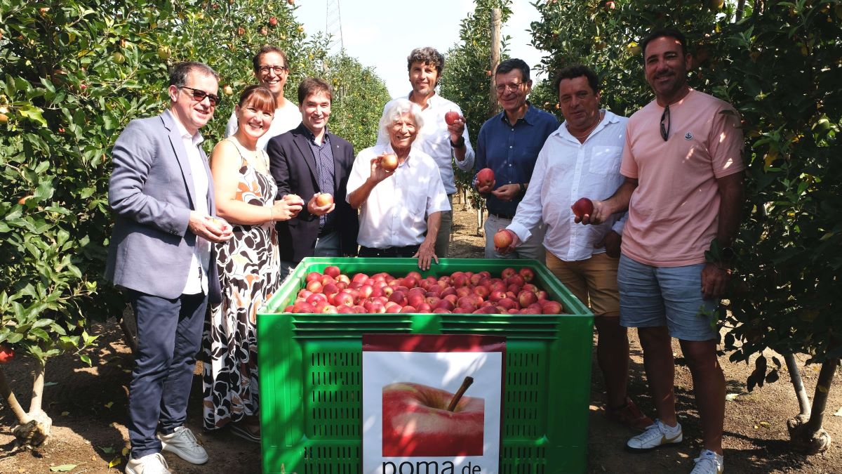 La Poma de Girona está en huertos de 78 familias