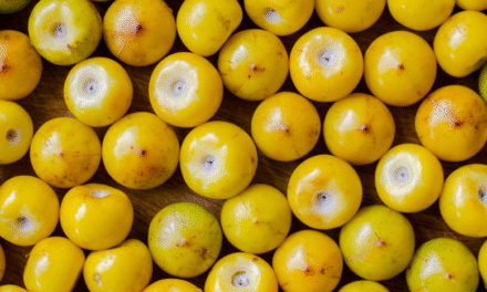 Murici, un fruto latinoamericano poco conocido, con gran valor nutricional
