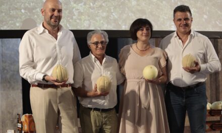 El melón Mantovano es el único con certificación IGP en Italia