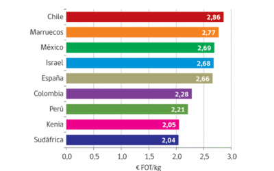 Chile como proveedor de aguacate valorado por su calidad