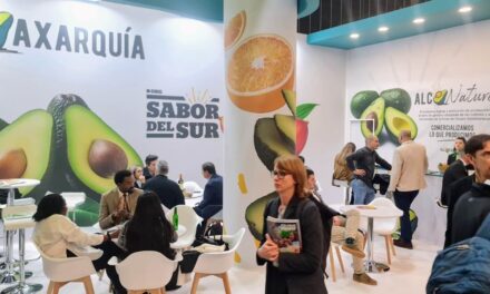 Sobre nuestros aguacates, de dónde vienen y cuántos hay en la dieta