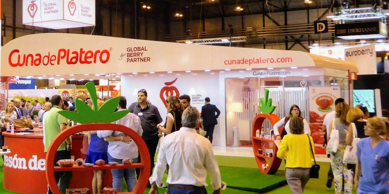La marca de berries Cuna de Platero en crecimiento