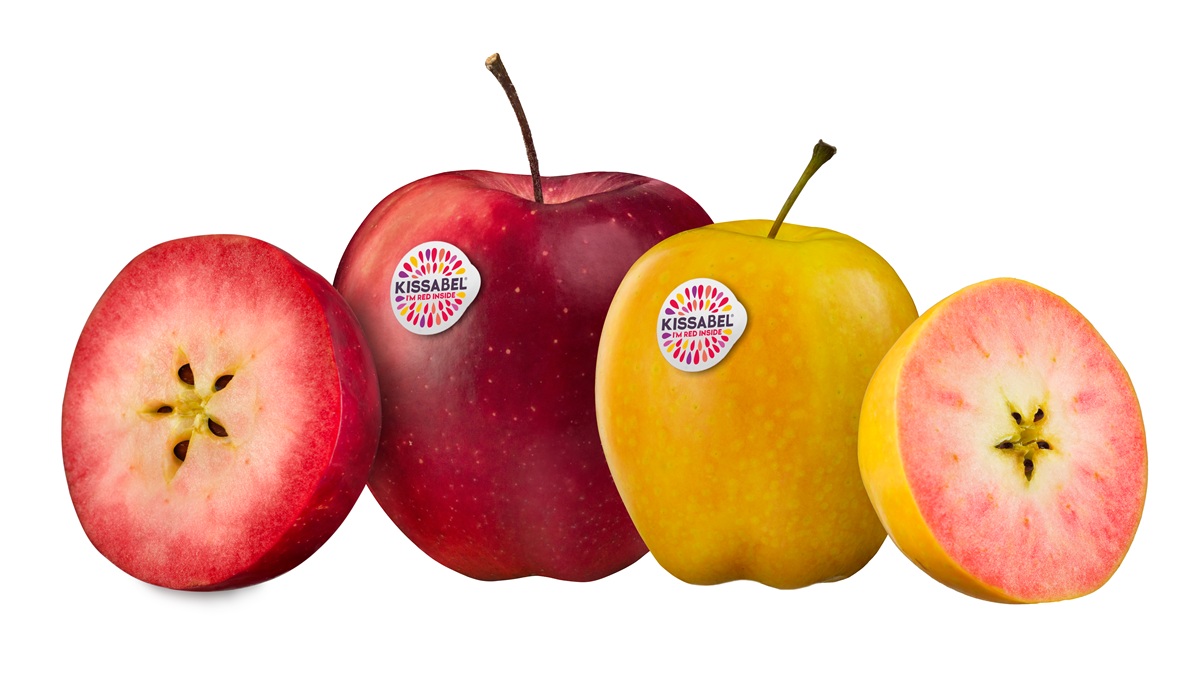 Kissabel® vuelve al hemisferio norte: comienza la temporada 2025