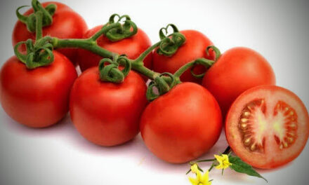 Interés y preocupaciones por los tomates en Fruit Attraction