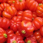 La fruta que se puede cultivar en el jardín contiene compuestos bioactivos que se buscan en los suplementos alimenticios