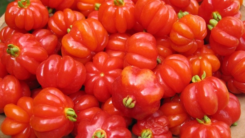 La fruta que se puede cultivar en el jardín contiene compuestos bioactivos que se buscan en los suplementos alimenticios