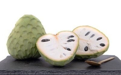 Con el otoño-invierno llegamos a la estación de la chirimoya