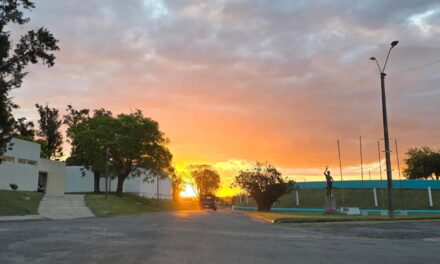 Hay iniciativas para acceder a tierras agrarias abandonadas