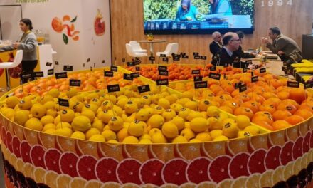 Informe Fruit Logística 2025 sobre las tendencias futuras en frutas y verduras
