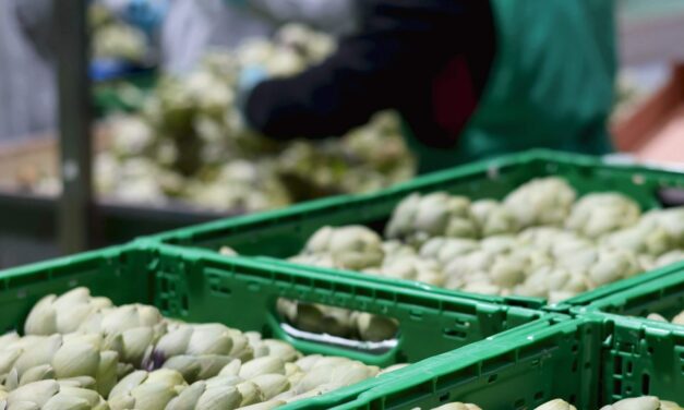 Más pimiento, brócoli y alcachofa en la oferta de Anecoop