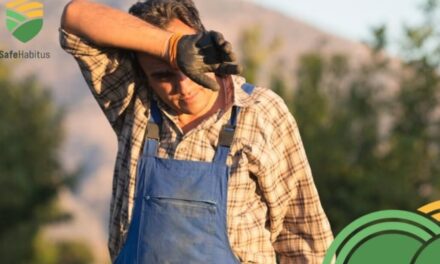 Reducir la carga administrativa a los agricultores, una de las recomendaciones de SafeHabitus