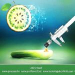 Reflexionar sobre sustentabilidad