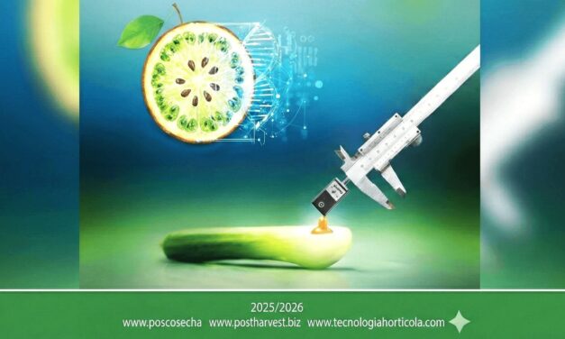 Reflexionar sobre sustentabilidad