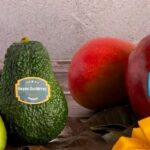 Reyes Gutiérrez un lider en mango y aguacate en España con compromisos en sostenibilidad e innovación