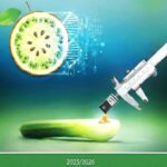 Reflexionar sobre sostenibilidad