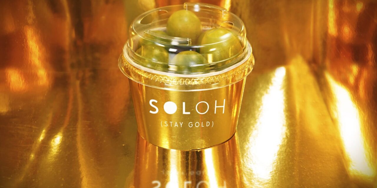 ¡UNICA Group presenta un nuevo snack de tomate, el “Soloh”!