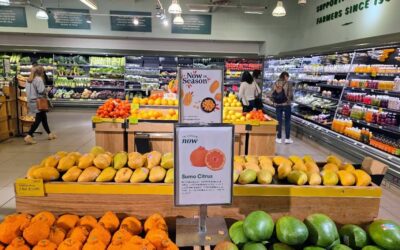 Frutas y hortalizas en la UE: algunos datos de comercio y consumo