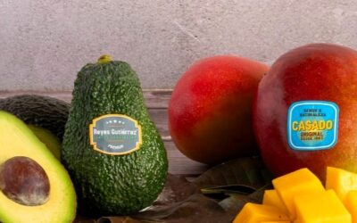 Reyes Gutiérrez un lider en mango y aguacate en España con compromisos en sostenibilidad e innovación