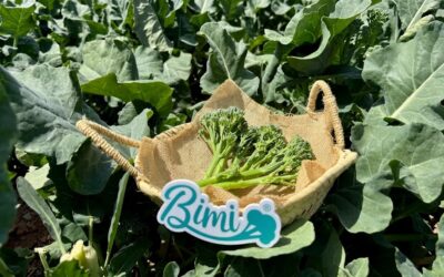 Del cultivo a la brasa una experiencia que conecta origen y sabor