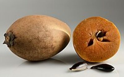 El zapote, una deliciosa fruta tropical difícil de ver en Europa