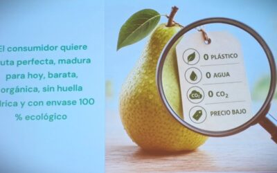 De la fruta fea a los superalimentos: el reto de la poscosecha europea retos-poscosecha