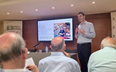 Alimentos, mercado y ciudad: un diálogo estratégico