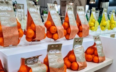 Estrategia para la naranja española