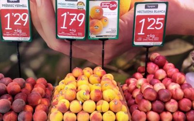 Cuanto valen los melocotones del campo a las tiendas
