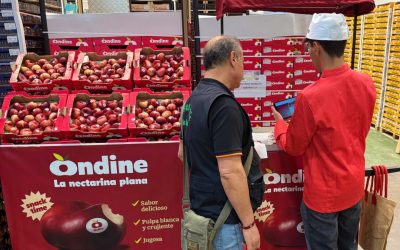 Ondine® impulsa su campaña de verano para acercar la nectarina plana al consumidor