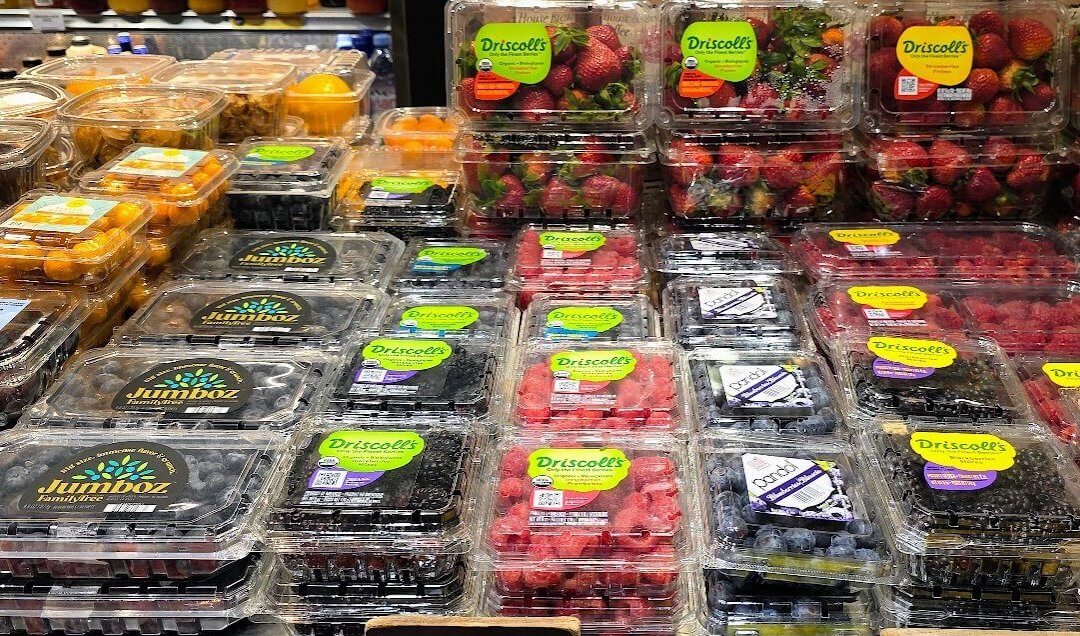 Driscoll’ el gigante de los frutos rojos multipremiado